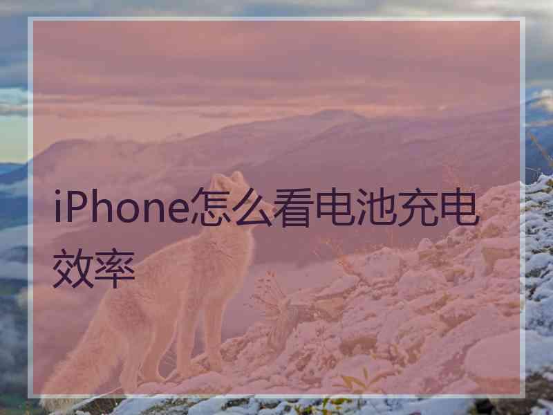 iPhone怎么看电池充电效率