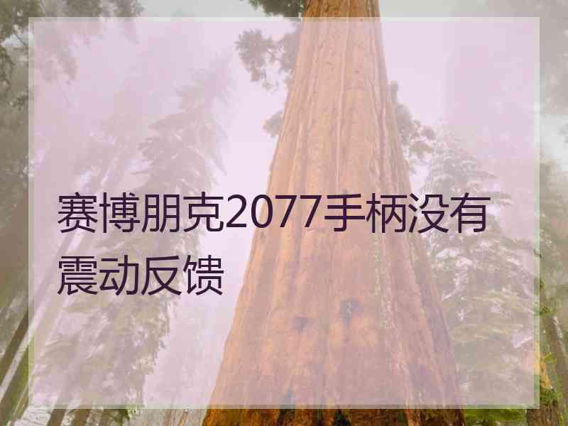 赛博朋克2077手柄没有震动反馈