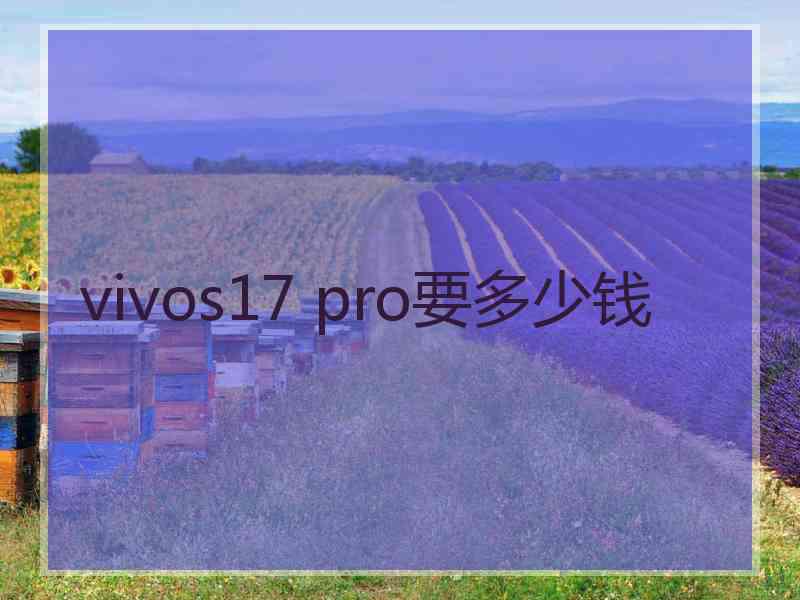 vivos17 pro要多少钱