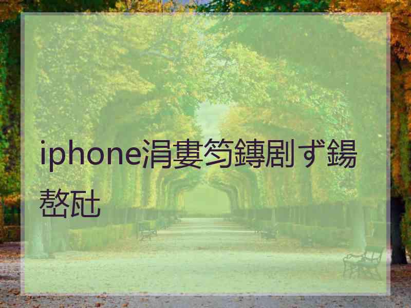 iphone涓婁笉鏄剧ず鍚嶅瓧