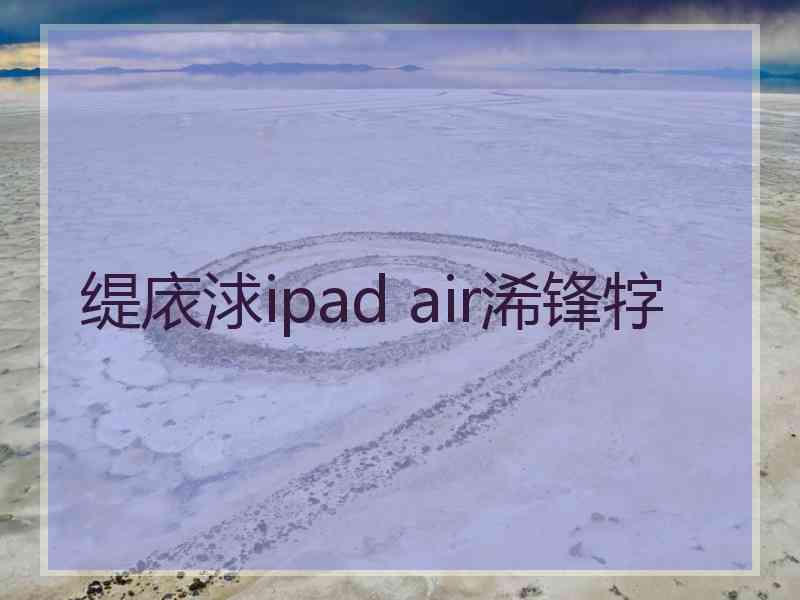 缇庡浗ipad air浠锋牸