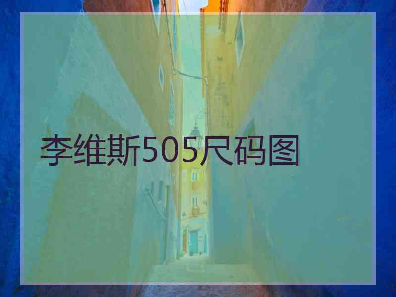 李维斯505尺码图