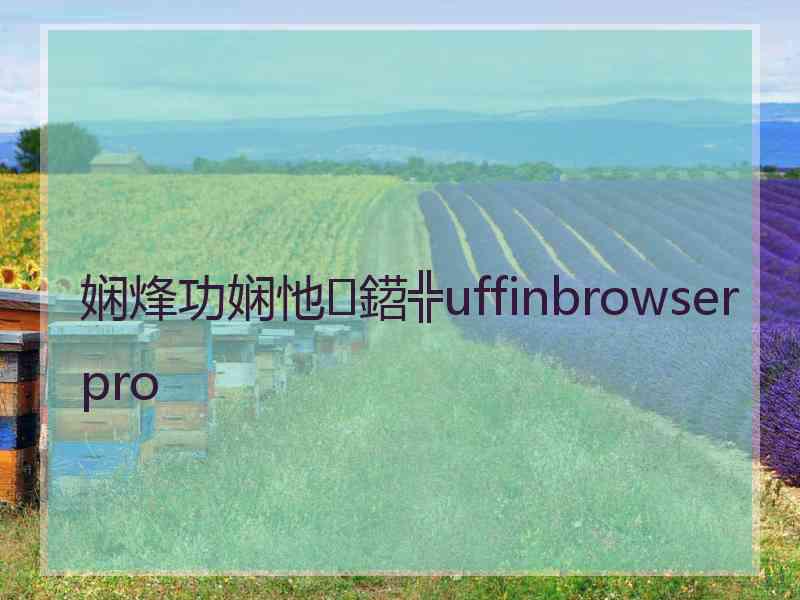 娴烽功娴忚鍣╬uffinbrowserpro