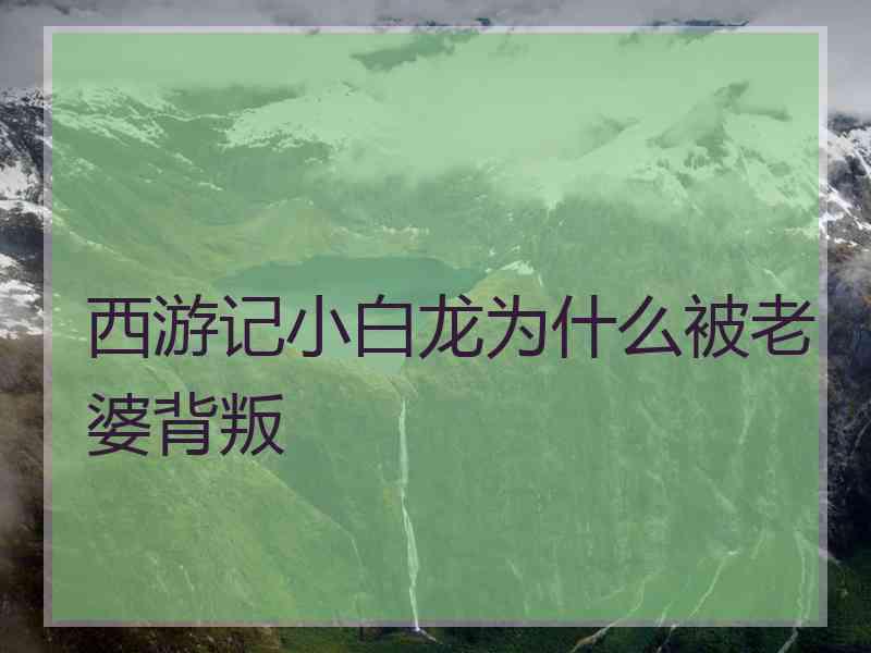 西游记小白龙为什么被老婆背叛