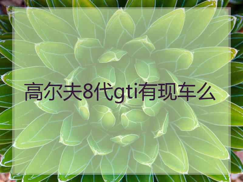 高尔夫8代gti有现车么