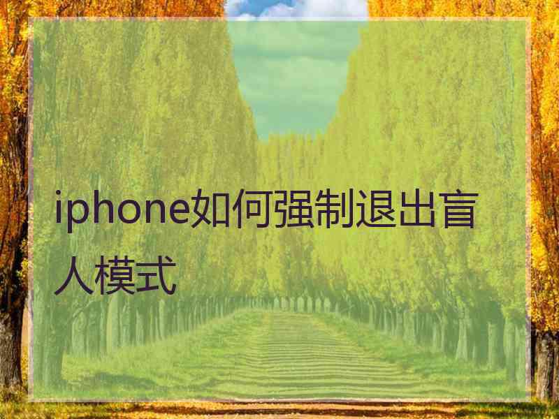 iphone如何强制退出盲人模式