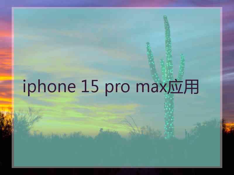 iphone 15 pro max应用