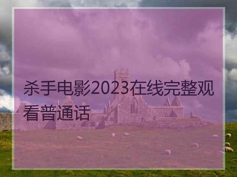 杀手电影2023在线完整观看普通话