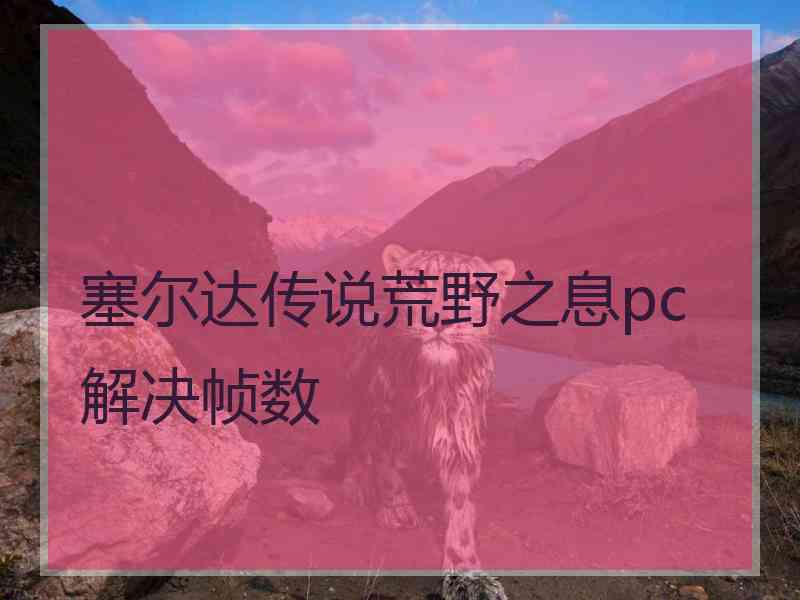 塞尔达传说荒野之息pc解决帧数