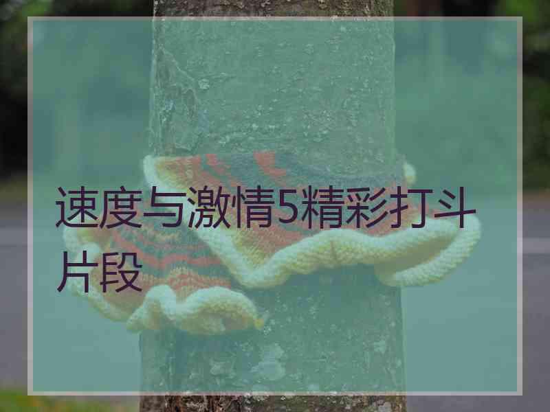 速度与激情5精彩打斗片段