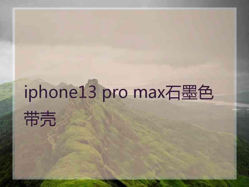 iphone13 pro max石墨色带壳