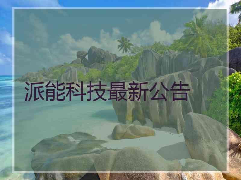 派能科技最新公告