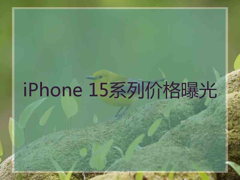 iPhone 15系列价格曝光