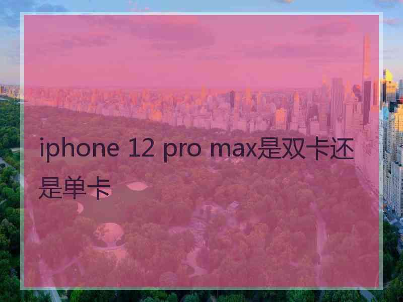 iphone 12 pro max是双卡还是单卡