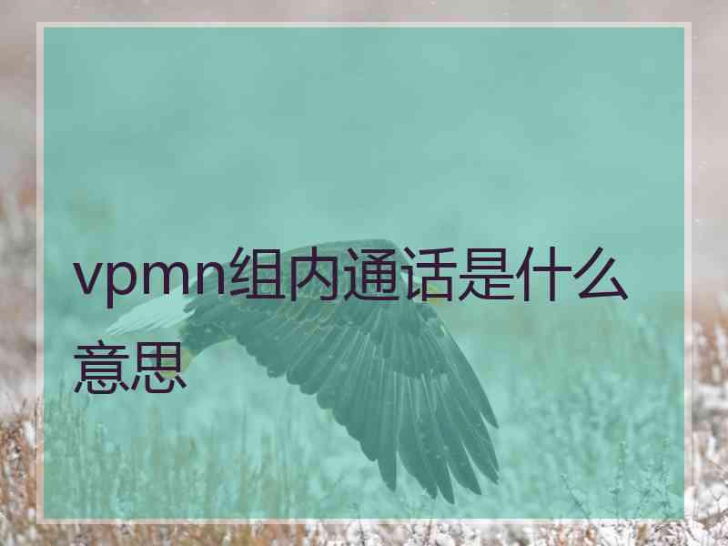 vpmn组内通话是什么意思