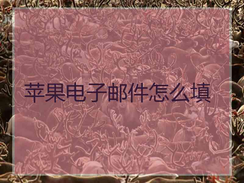 苹果电子邮件怎么填