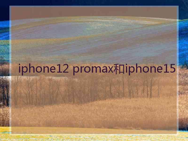 iphone12 promax和iphone15