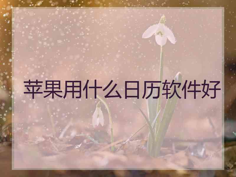 苹果用什么日历软件好