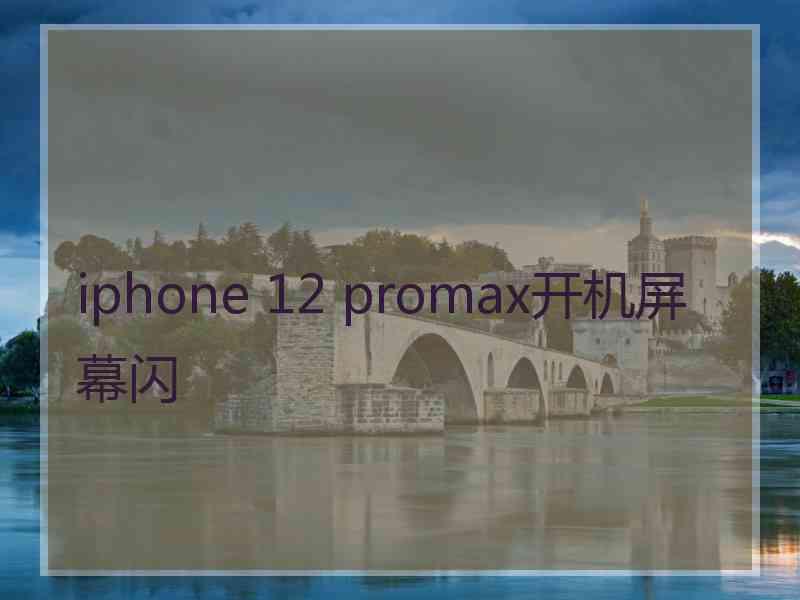 iphone 12 promax开机屏幕闪