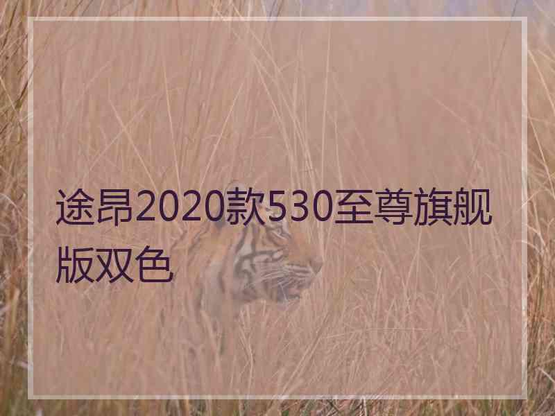 途昂2020款530至尊旗舰版双色