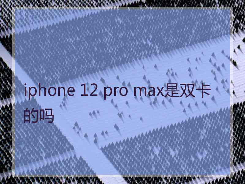 iphone 12 pro max是双卡的吗