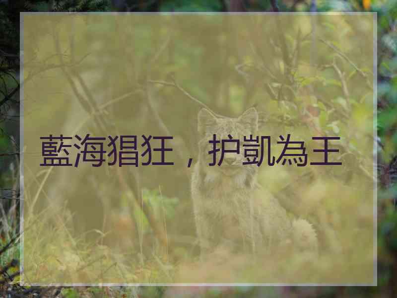 藍海猖狂，护凱為王