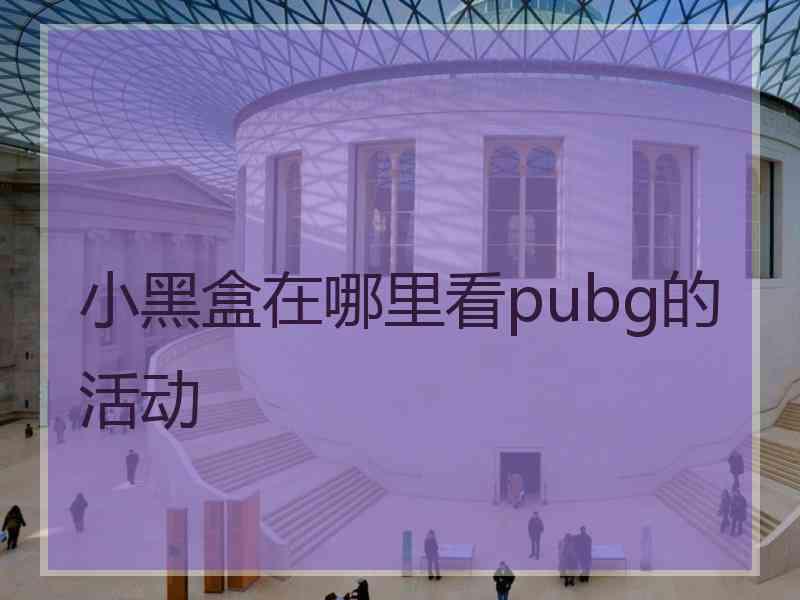 小黑盒在哪里看pubg的活动