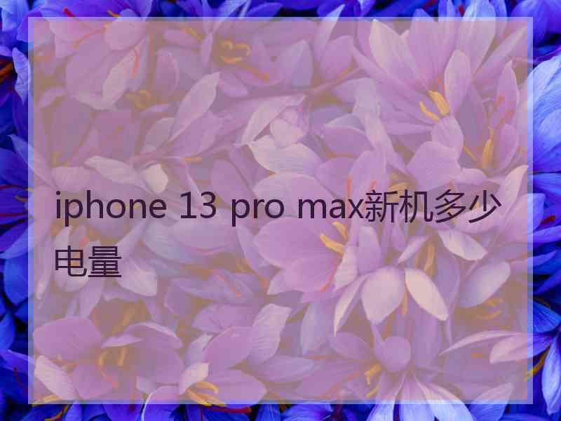 iphone 13 pro max新机多少电量