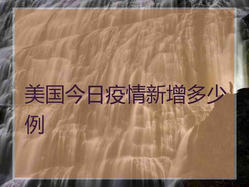 美国今日疫情新增多少例