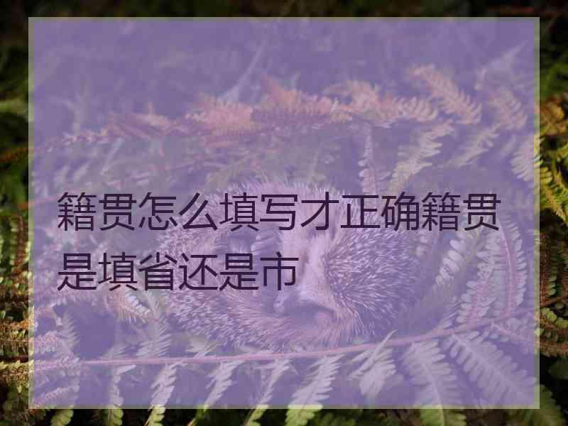 籍贯怎么填写才正确籍贯是填省还是市