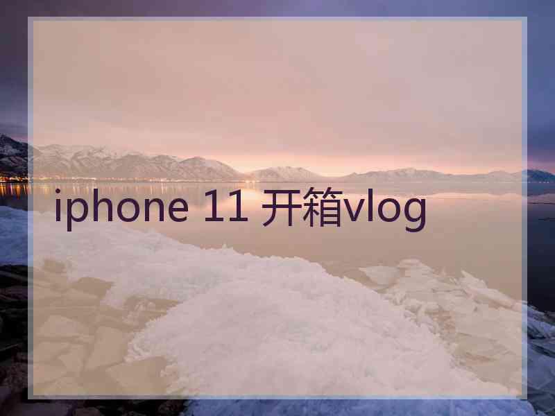 iphone 11 开箱vlog