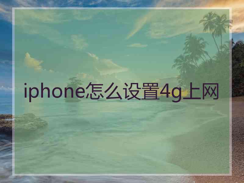 iphone怎么设置4g上网