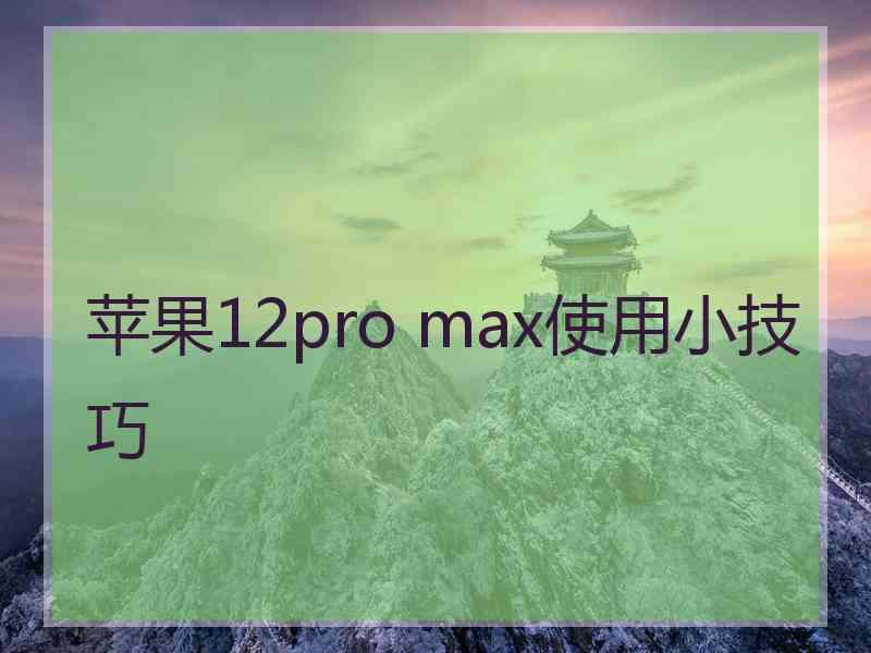 苹果12pro max使用小技巧