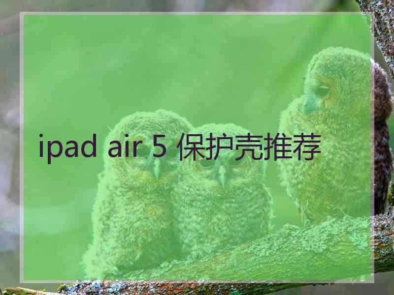 ipad air 5 保护壳推荐