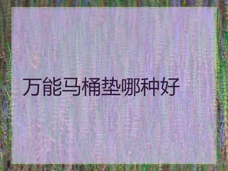 万能马桶垫哪种好