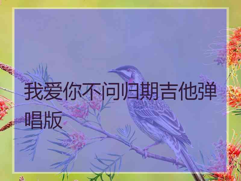 我爱你不问归期吉他弹唱版