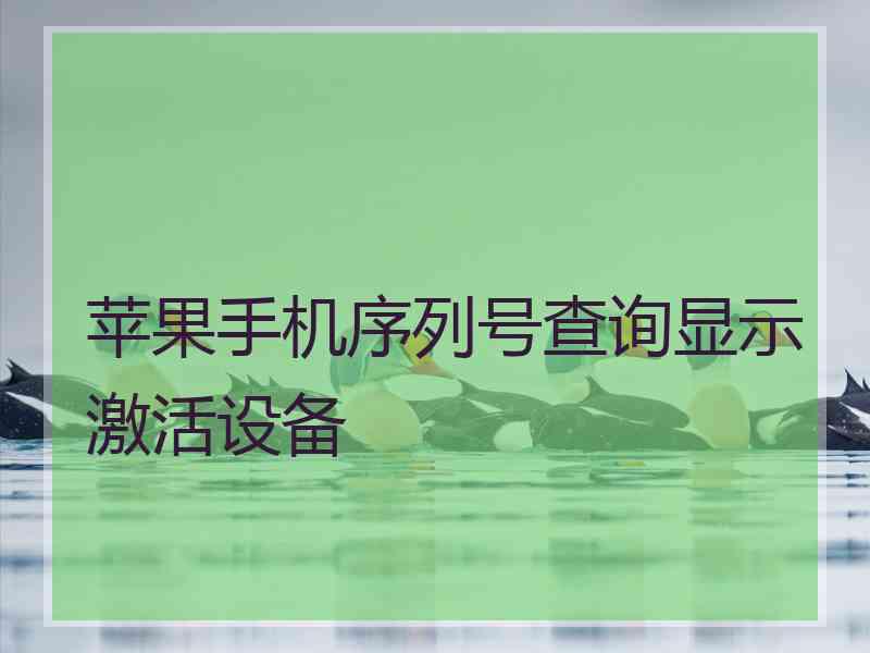 苹果手机序列号查询显示激活设备