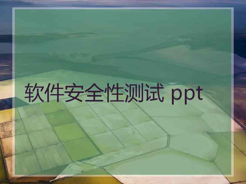 软件安全性测试 ppt