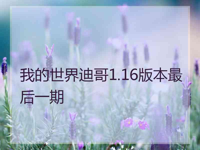 我的世界迪哥1.16版本最后一期