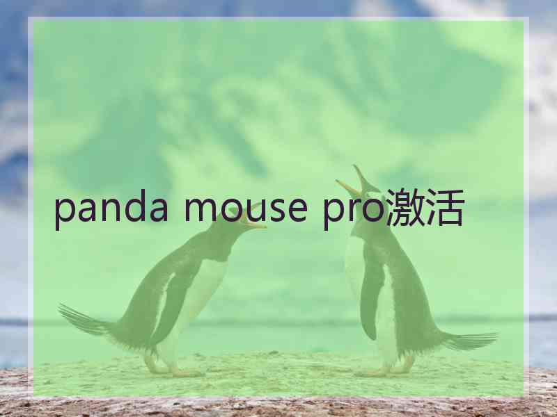 panda mouse pro激活