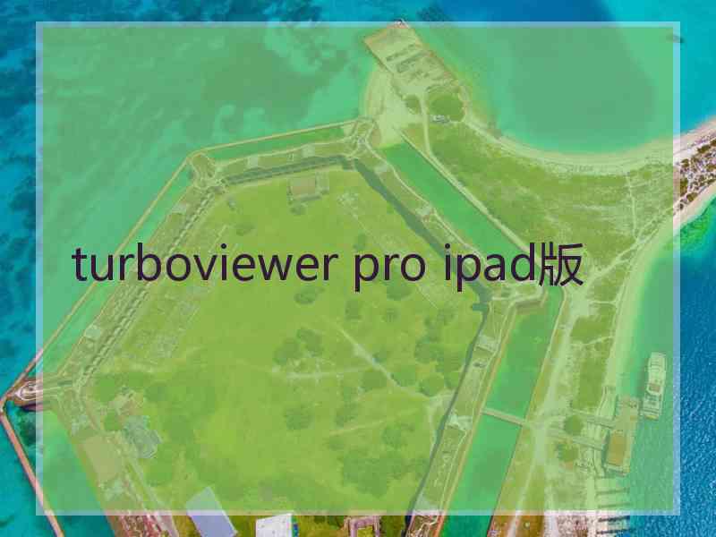 turboviewer pro ipad版