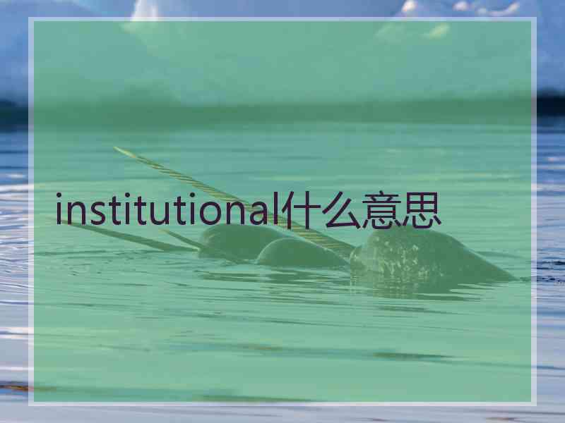 institutional什么意思