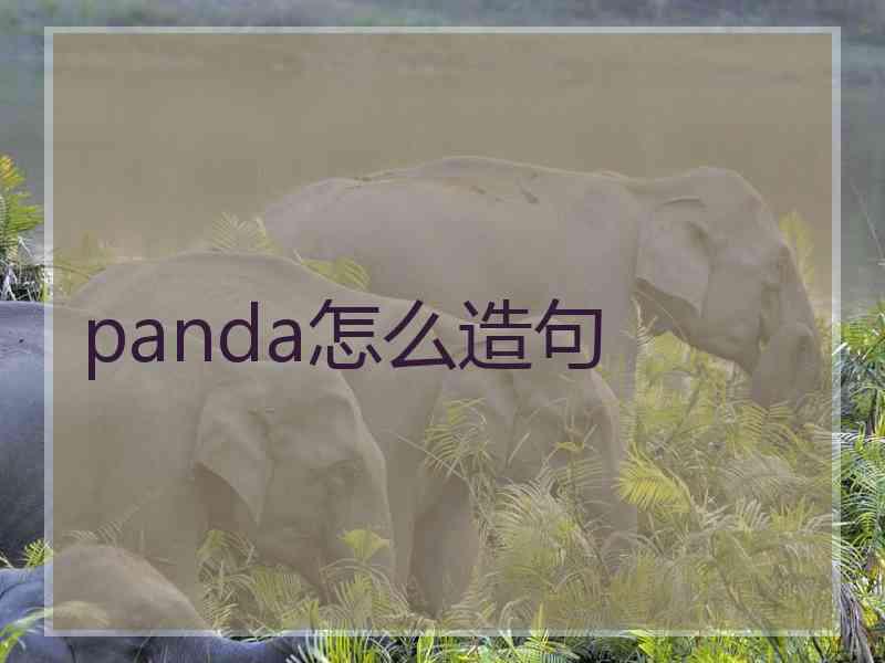 panda怎么造句