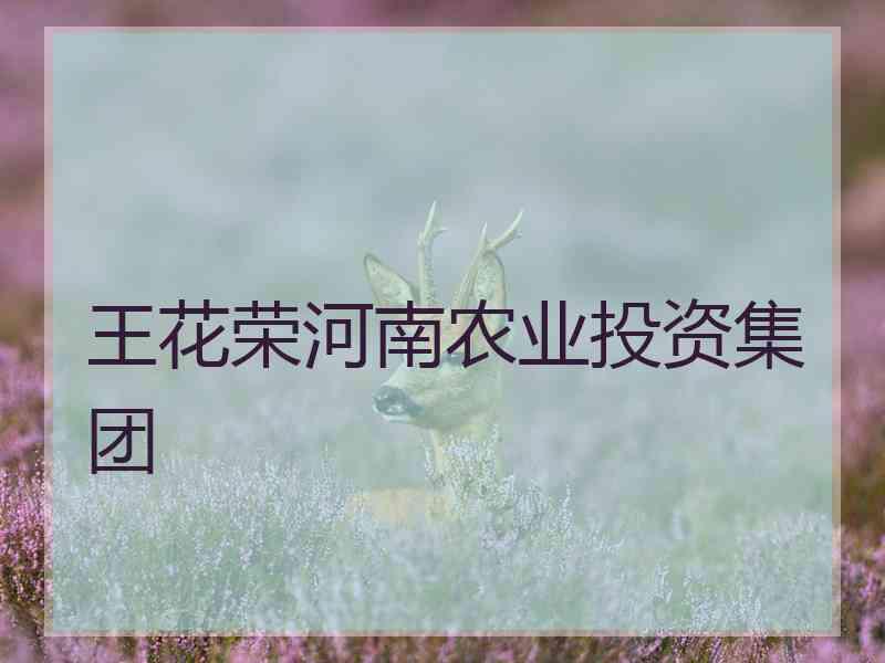 王花荣河南农业投资集团