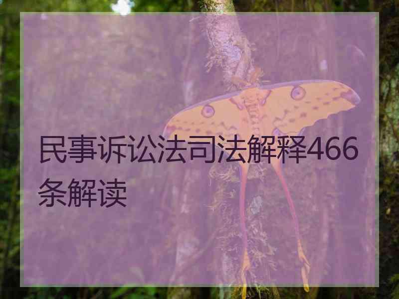 民事诉讼法司法解释466条解读