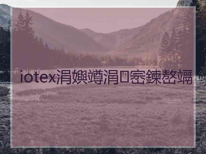 iotex涓嬩竴涓崈鍊嶅竵