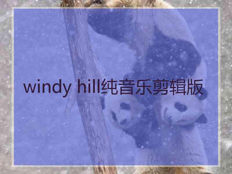 windy hill纯音乐剪辑版