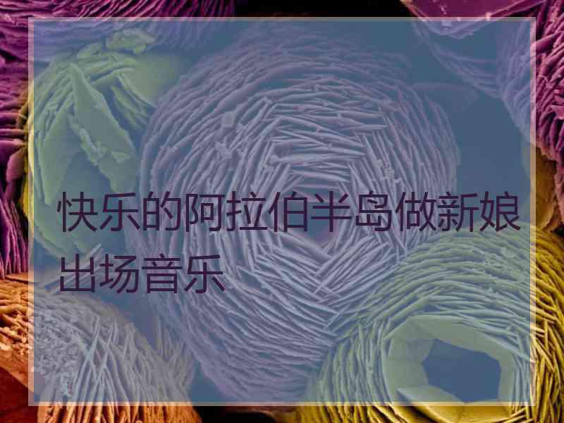 快乐的阿拉伯半岛做新娘出场音乐