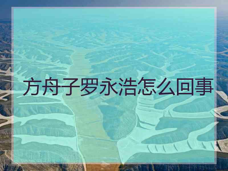 方舟子罗永浩怎么回事