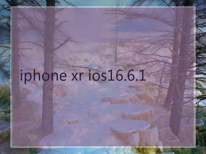 iphone xr ios16.6.1